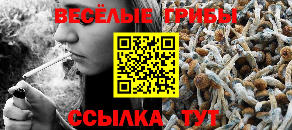 магазин продажи   Псилоцибиновые грибы Cubensis  Вход с VPN  Вичуга 