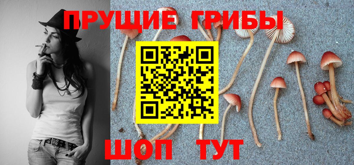 Псилоцибиновые грибы мицелий Вичуга